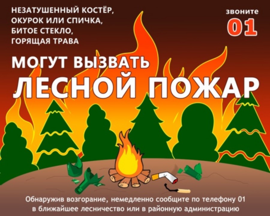 Правил пожарной безопасности в лесах 2020. Противопожарные плакаты в лесу. Плакат противопожарная безопасность в лесу. Противопожарные аншлаги в лесу. Постер пожарная безопасность в лесу.